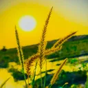 @sada_apna_pind_82