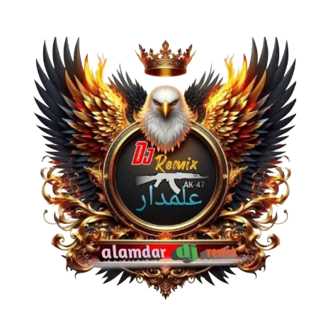alamdar.dj_remix