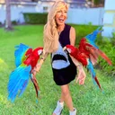 @rainbowparrotrescuefl