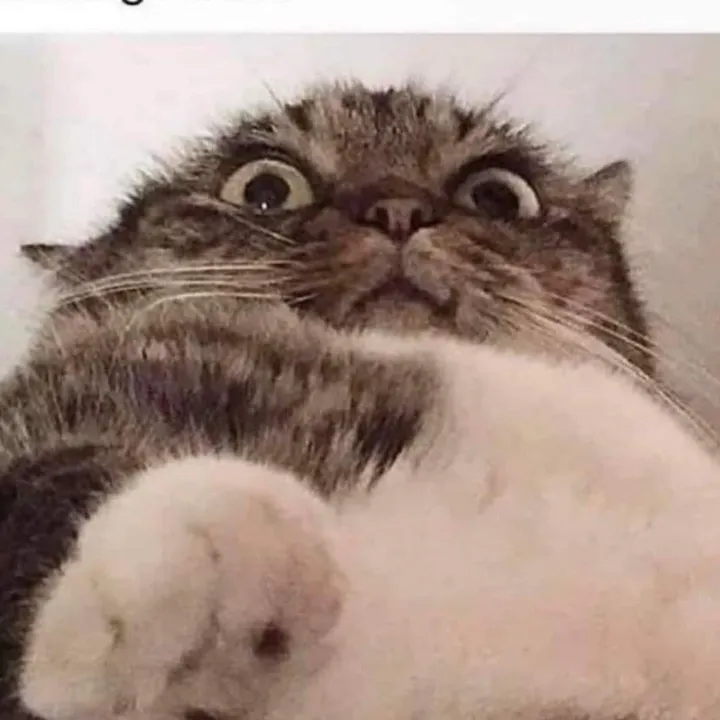 @knyvez__