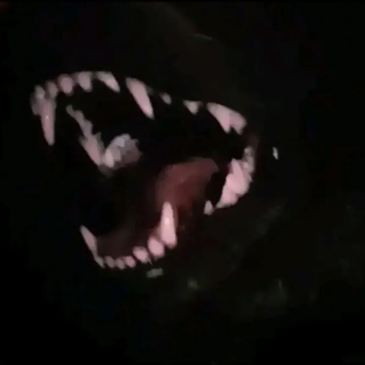 zeripmav