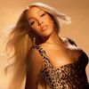dojacatverses