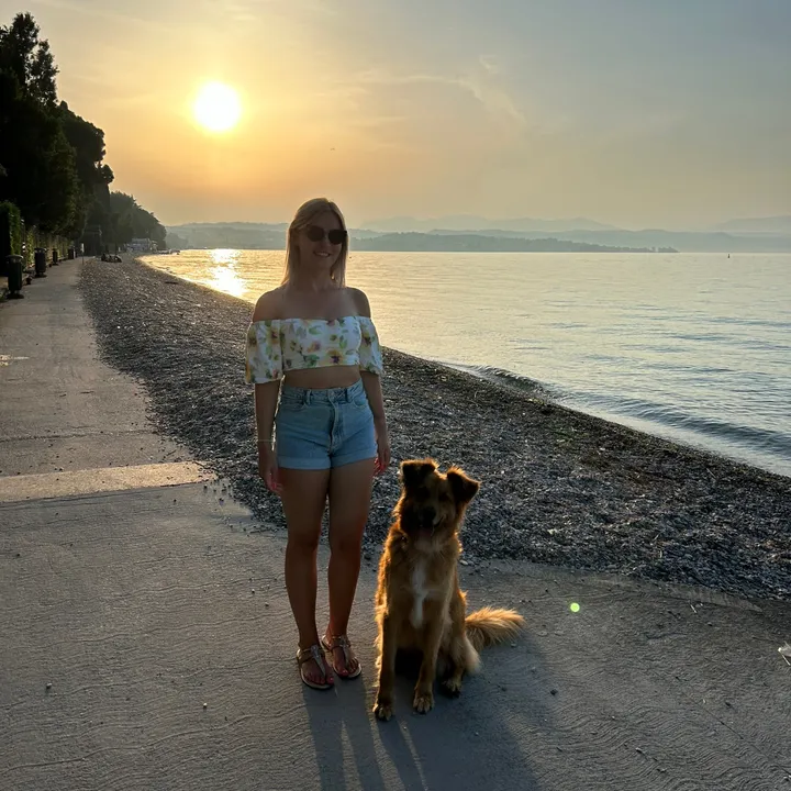 sunny_foxy_dog