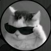 snave.edits