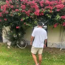 @brauliovench