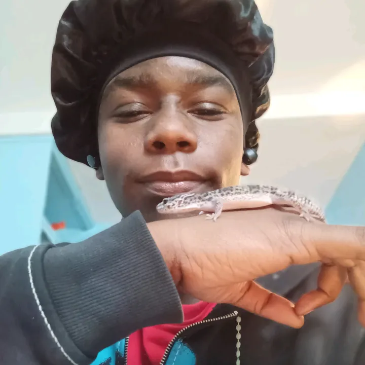 @adot.cocka