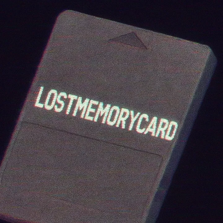 @lostmemorycard