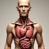 anatomyinside125