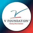 @thevfoundation