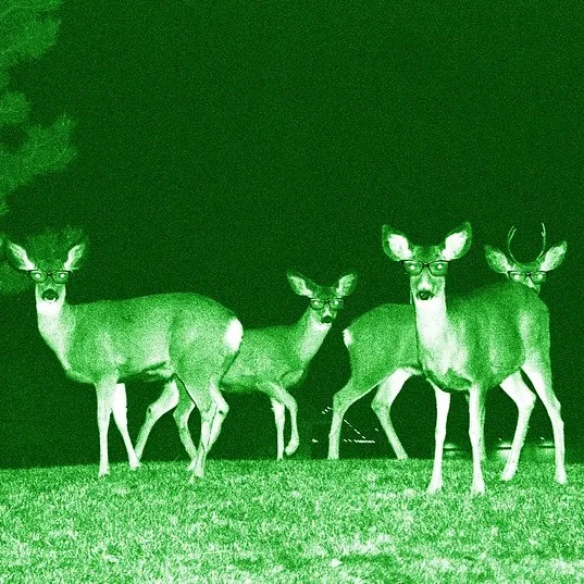 @nightvisionmh