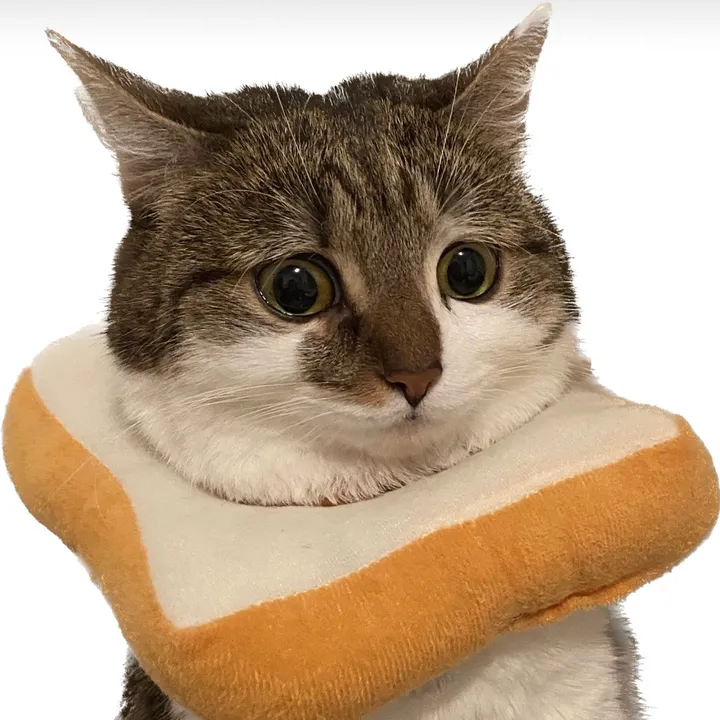 suki_purrs