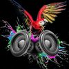 cotorramusicoficial