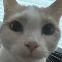 @iluv5w30