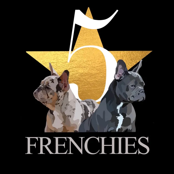 fivestarrfrenchies