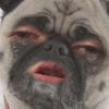 kavaughn0