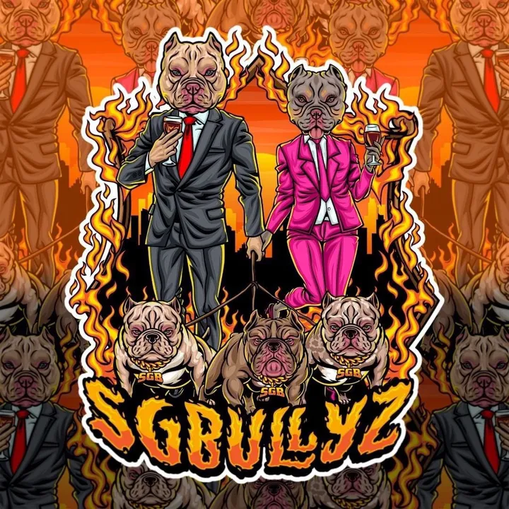 @sgbullyz