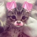 @the_happy_sandy