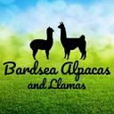 @bardsea.alpacas