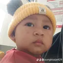 @pungkisaja429