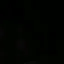 @greta.petrillo