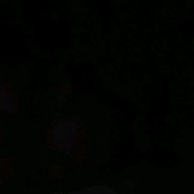 @greta.petrillo