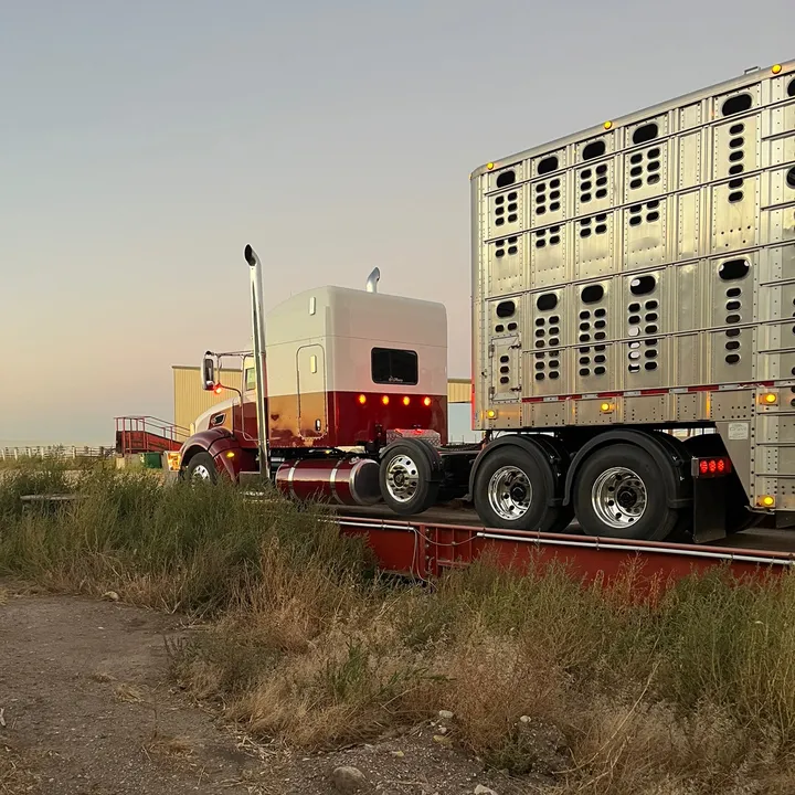 uptrucking