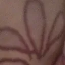 @tominosav