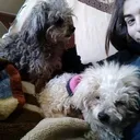 @peraltaacam1