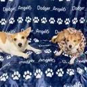 @dodger_angel6