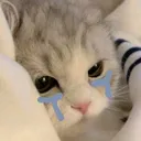 @acsghedsdghijkh
