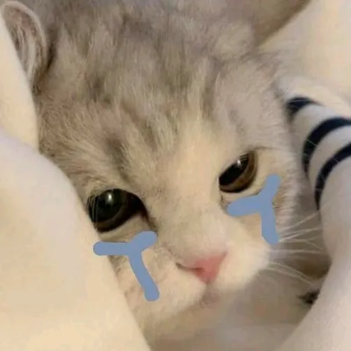 @acsghedsdghijkh