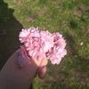 lucyxoxo_567