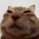 @themrpiggy100