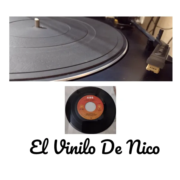 @elvinilodenico78