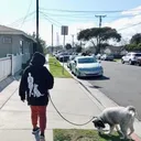 @house_of_beleafers