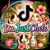 itzjustchele