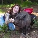 @theporksquad