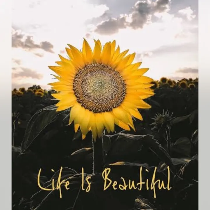 _heidi.com_