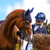 ehl.eventing
