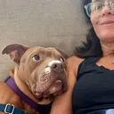@underdogclt
