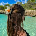 @ari.travelll