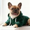 pawbuddieshome5