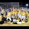 ladytigersb