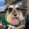 minischnau14