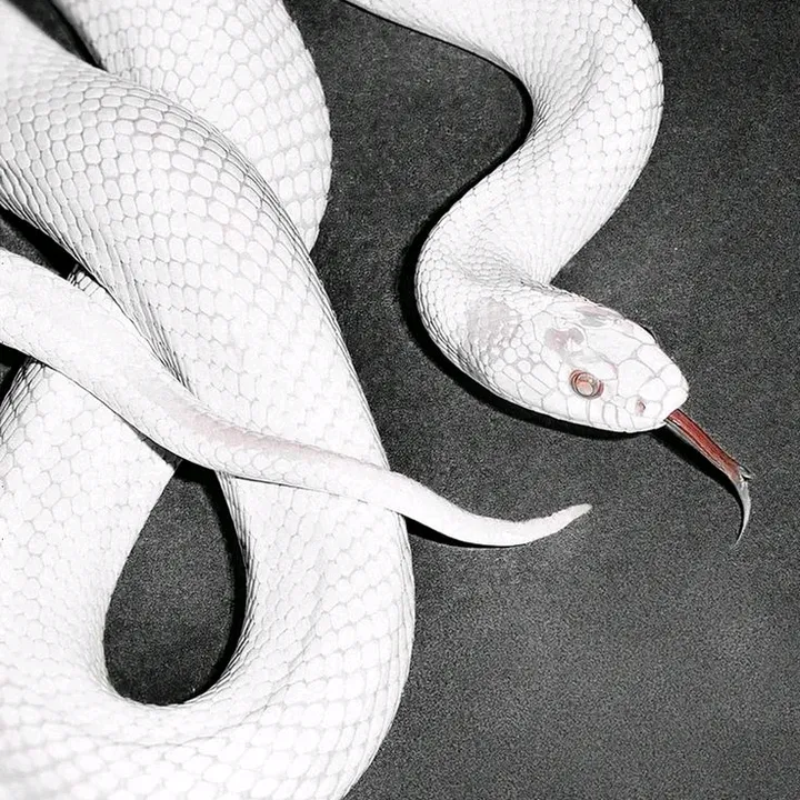 @the.real.parker.2010