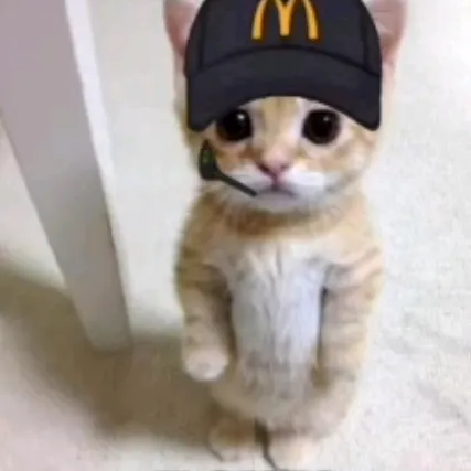 @el_gato__story