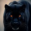 blackpanther_discomovil