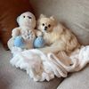 beingmilothepom