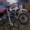 amir_172tt