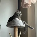 @tobykitten